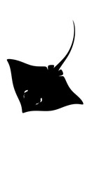 Fototapeta premium Black silhouette of a stingray swimming.