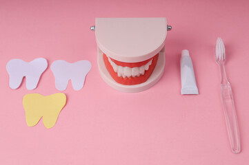 Educational Flat Lay Featuring Teeth Model, Toothbrush, Toothpaste, and Paper Tooth Shapes