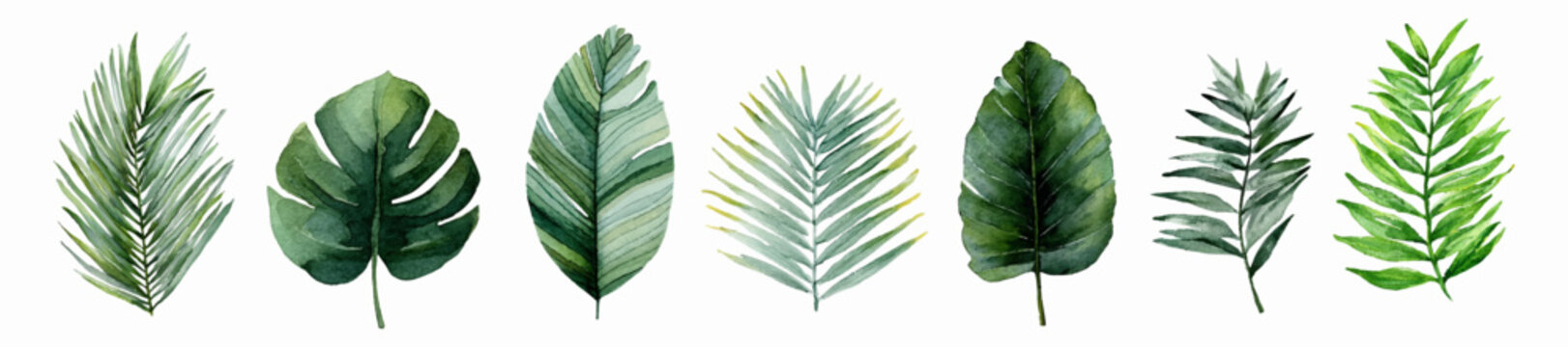 Tropical watercolor leaf collection featuring lush jungle plants. Green palm fronds, monstera foliage, and coconut tree branches ideal for summer frames and vintage floral compositions.
