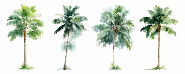 Tropical palm tree set with summer leaves and coconut plants perfect for beach designs, jungle borders, botanical wallpapers, and exotic tropical nature compositions. © Narin
