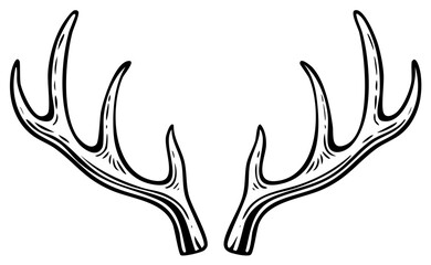 Fototapeta premium Detailed drawing of stag antlers illustration