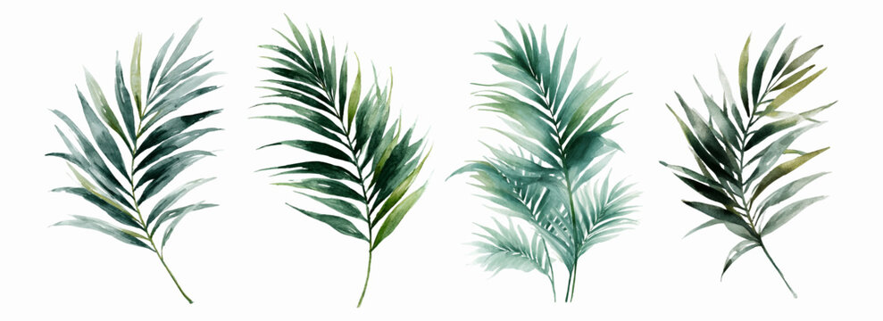 Watercolor tropical leaves set featuring lush palm foliage and jungle greenery. Vibrant botanical illustration with realistic leaf textures perfect for summer design projects and decorative borders.