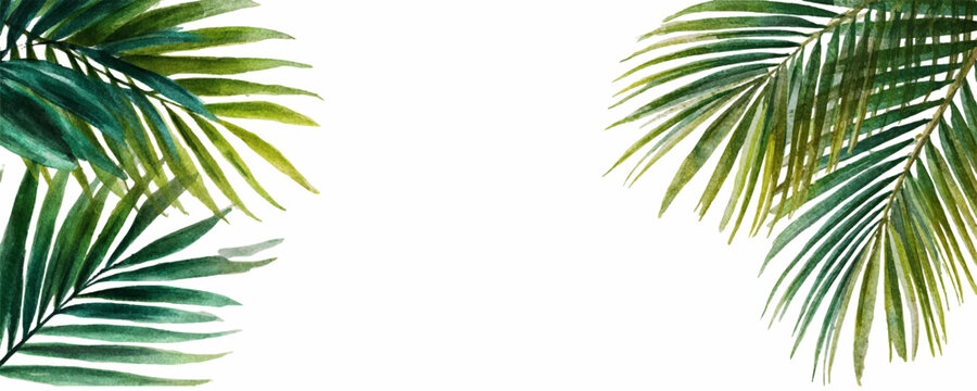 Watercolor tropical leaves banner with lush palm foliage. Exotic jungle border template featuring vibrant green botanical watercolor elements for summer design projects.