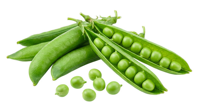Fresh green peas in pods with some shelled