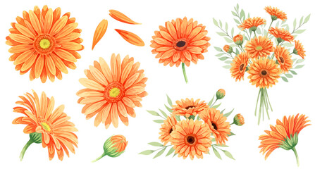 オレンジ色のガーベラのイラストパーツセット（花束・単体・花びら・蕾）,植物,水彩風,お祝い