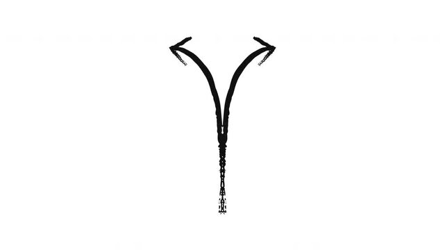 Two choices arrow grunge doodle animation. Split into left and right curved paths. Branching forked. Animated hand drawn pointer. Dynamic sketchy rough direction. Distressed ink motion overlay