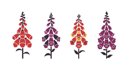 Foxglove Line art dynamic colorful design illustration © Hasi