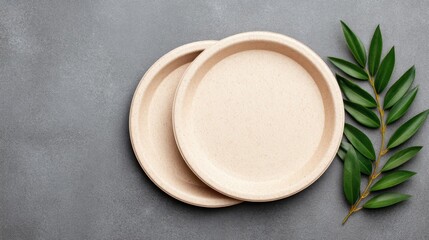 Sustainable Business in Action. Sustainable Business Lunch Concept with Biodegradable Plates and Copy Space for Text