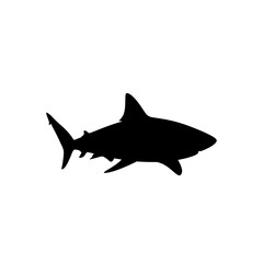 Fototapeta premium Black silhouette of a shark swimming.
