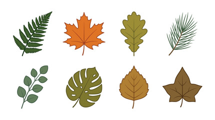 Obraz premium Assorted Leaves Foliage Collection Isolated Flat Vector Illustrations Nature Botanical Seasonal Design Simple Earth Tones Minimal Style Scalable EPS Graphic Element