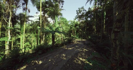 quiet woodland track with layered light and dense foliage, subtle sun patches create rhythmic highlights, scene evokes contemplative walk and slowpaced nature