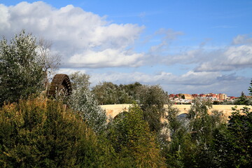 Fototapeta premium Roman Bridge and Mezquita-Catedral Over the Guadalquivir River in Córdoba, Spain
