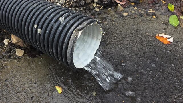 Drain pipe pouring rainwater onto wet asphalt during an autumn storm, with colorful leaves fallen on the ground, representing a functional drainage system and water management