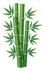 Naklejka premium Stylized bamboo set featuring green stalks and leaves for natural decoration