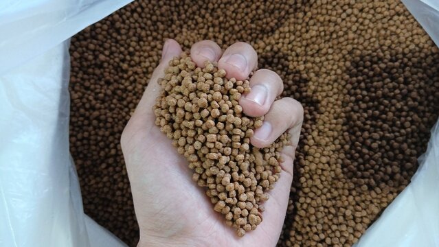 Hand Holding Dry Fish Feed Pellets in Bag