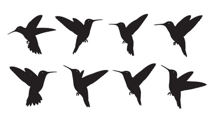 Hummingbirds flying silhouette set with multiple wing positions, black vector birds isolated on white for nature design © Harry 