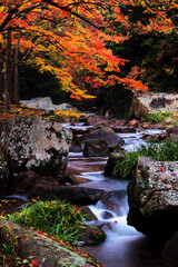 紅葉と渓流