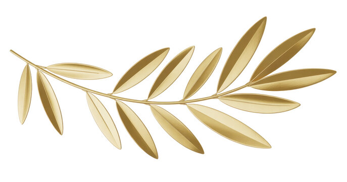 Golden olive branch leaves green none isolated on a transparent background