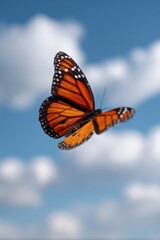 Monarch butterfly flying in blue sky with soft clouds vivid orange wings detailed closeup of delicate insect in flight