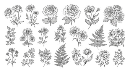 Landscape vegetation elevation symbols for urban design projects © Ai_Images