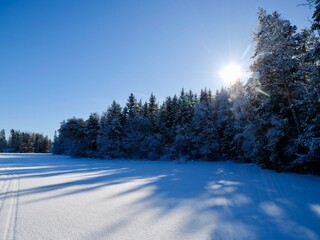 Winter Landscapellnora Nature Reserve Featuring