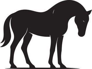 Obraz premium Majestic Horse Black Silhouette Vector Illustration