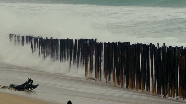 Bamboo made breakwater is standing against the stong tide waves at the tropical beach during thunderstorm, with heavy waves hitting the bamboo pieces.