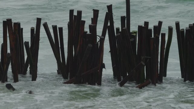 Closeup view of bamboo made breakwater is standing against the stong tide waves at the tropical beach during thunderstorm, with heavy waves hitting the bamboo pieces.