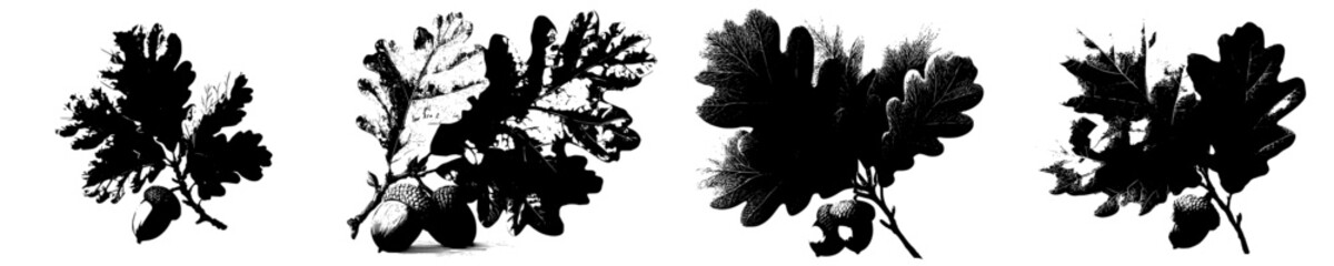 Obraz premium Autumn's Gift: A Vivid Oak Leaf