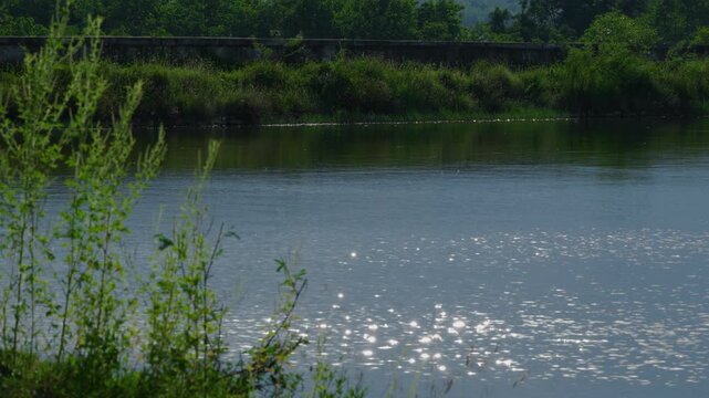 The sunlight is reflecing from the surface of water at the lake in the afternoon, with natural green foreground and old concrete fence in the background.