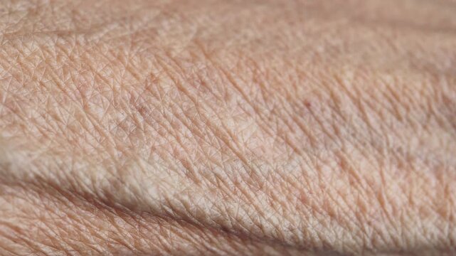 Close up macro shot of wrinkled aged skin showing texture and fine lines