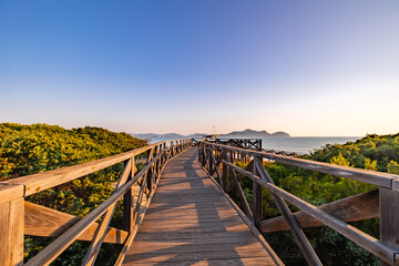 Obraz premium beautiful summer seascape