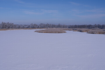 Icy river surface surrounded by dry reeds and frost covered forest. Minimal cold season landscape.