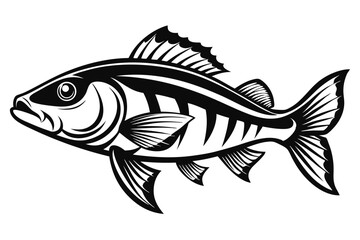 Obraz premium barramundi silhouette line art vector illustration