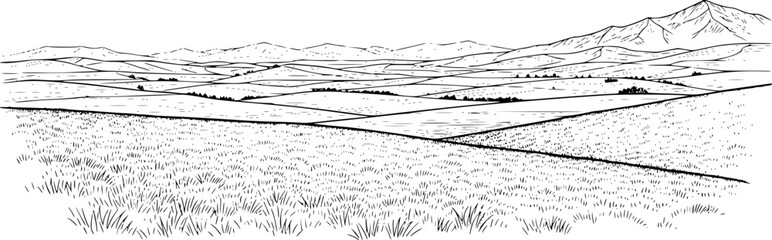 Fototapeta premium Black and white of rolling agricultural fields leading to distant mountains landscape