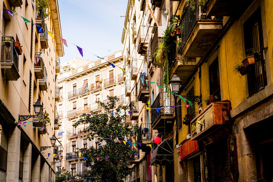 old street in old center of barcelona in spring day in the raval district