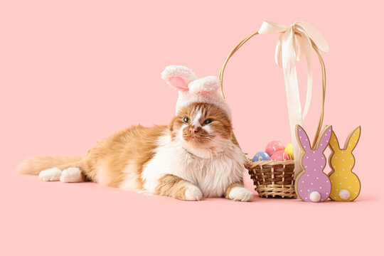 Cute cat in bunny ears with Easter basket and toy rabbits on pink background