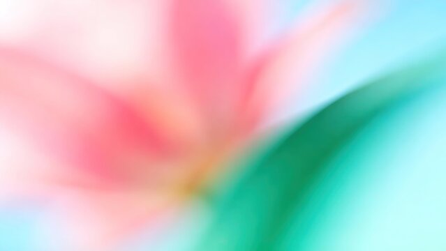 Warm Pink Green Blue Gradient Vertical Composition, Flowing Light Shadow Dynamic Blur, Minimalist Abstract Spring Hazy Aesthetic