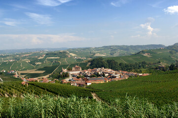 Barolo