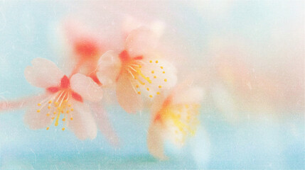 Naklejka premium Soft blurred vintage backgrounds with Y2K floral pattern. Spring cherry blossom in soft focus with delicate shades create a calm and dreamy atmosphere.
