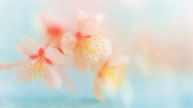 Soft blurred vintage backgrounds with Y2K floral pattern. Spring cherry blossom in soft focus with delicate shades create a calm and dreamy atmosphere.