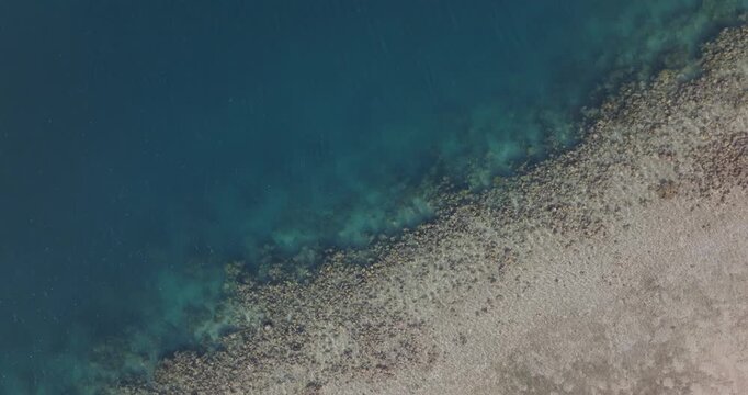 Top-down aerial drone view of coral reef meeting turquoise ocean along West Bali National Park coastline, Indonesia. Tropical marine ecosystem, shallow water patterns and nature background