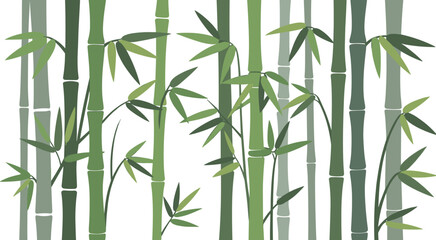 Bamboo forest background illustration, serene green bamboo grove, minimalist asian nature wallpaper, tranquil botanical landscape design