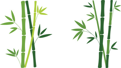 Naklejka premium Minimalist bamboo branches vector illustration, green bamboo stems with leaves, modern botanical asian design elements isolated on white