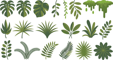 Tropical plant leaf collection, jungle foliage set, monstera and palm leaves, botanical vector illustration, green rainforest elements
