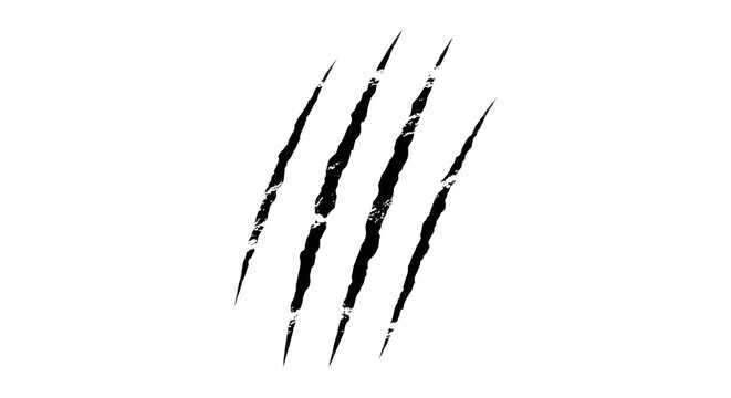 Abstract Black Claw Scratch Marks &ndash; Rough Sharp Slash Lines Isolated on White