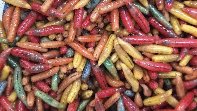 different-colored maggot worms crawl and move on a surface in a close-up view during daytime