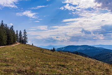 Landscapes, Forest, Carpathians, Photos of nature - Europe, Eastern Europe