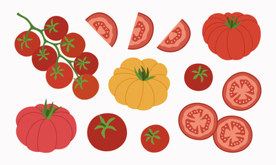 Set of different types of tomatoes. Cherry tomatoes on branch, yellow, red, whole and slice. Ripe vegetables, healthy eating. Hand drawn vector illustration isolated on white background, flat style.