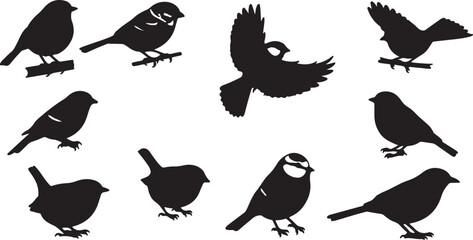 Set of 10 Black Bird Silhouettes Vector isolated PNG with Transparent Background © technology love